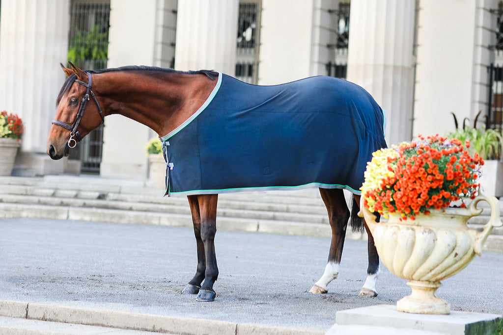 The Polartec® 200 Fleece Dress Sheet – Saratoga Horseworks
