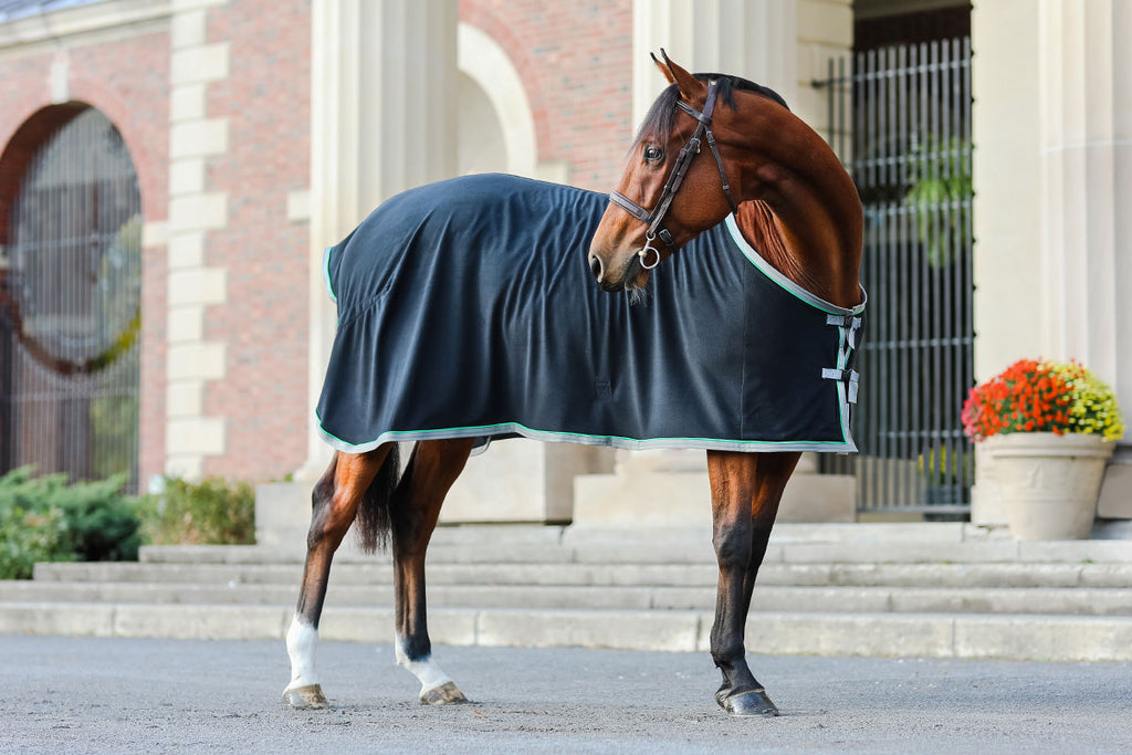 http://www.horseworks.com/cdn/shop/products/100MFleeceDressSheet-side_1024x1024.jpg?v=1548944145