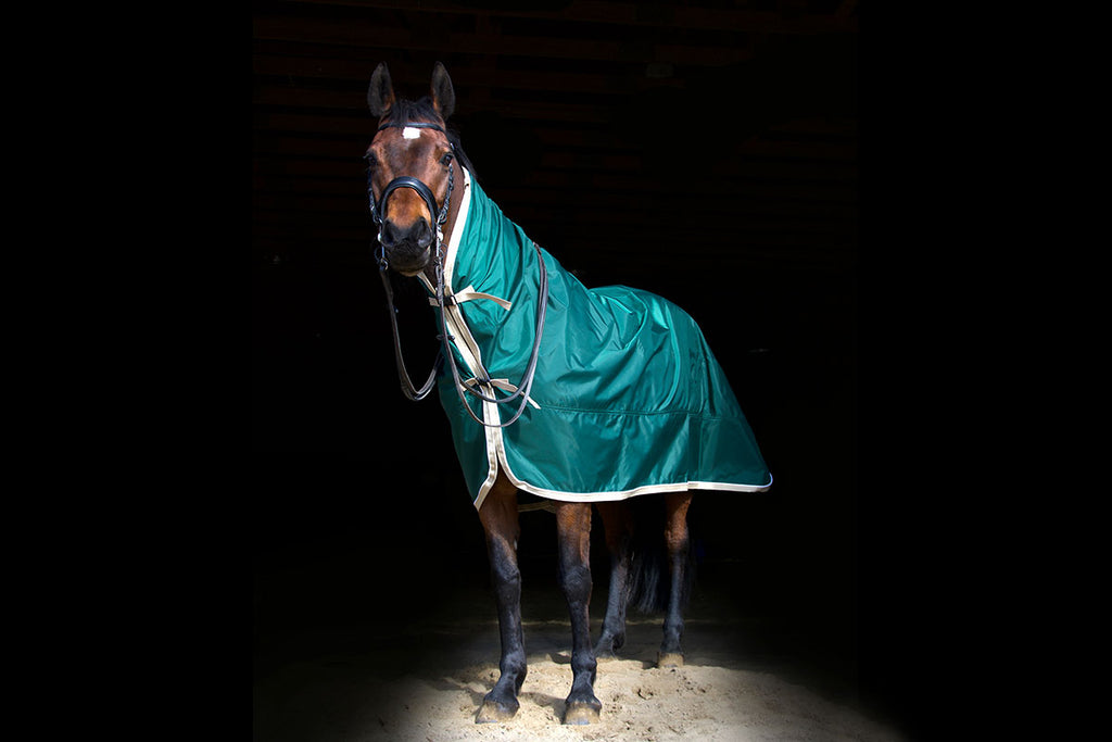 http://www.horseworks.com/cdn/shop/products/Adirondack-Rain-Sheet-FullBody-WEB_1024x1024.jpg?v=1663857846