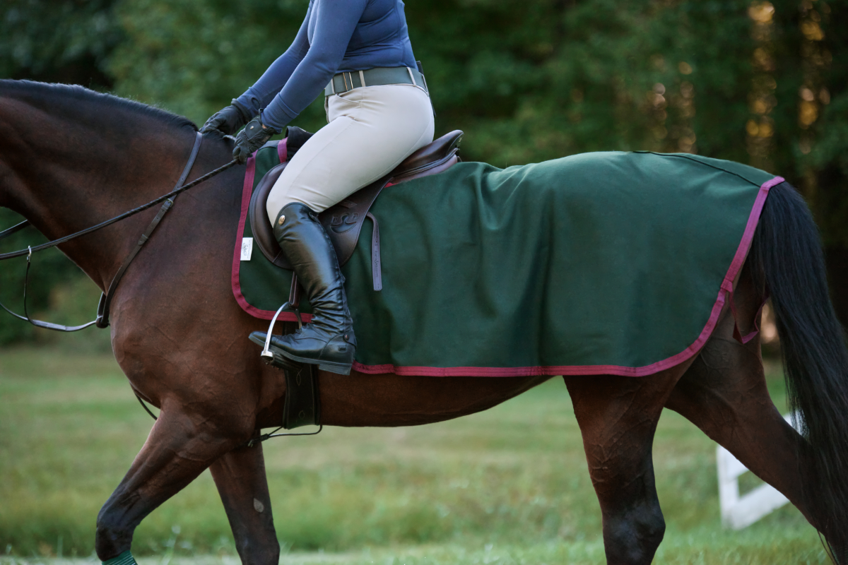 The Wool Riding Blanket – Saratoga Horseworks